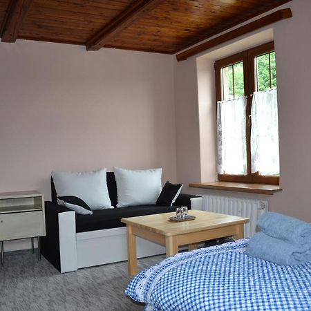 Penzion Pod Severakem Lučany nad Nisou Buitenkant foto